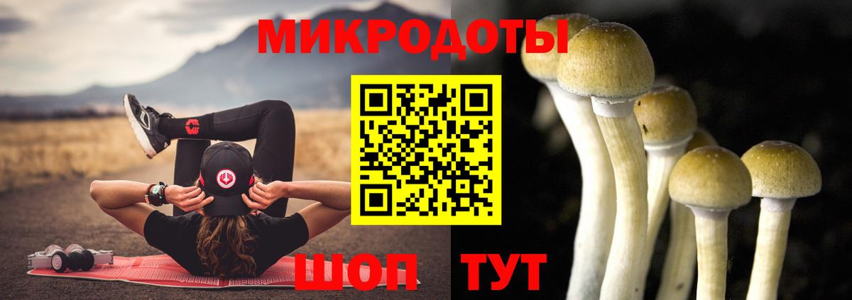 Татарск  Псилоцибиновые грибы прущие грибы  Вход с VPN  Галлюциногенные грибы прущие грибы 